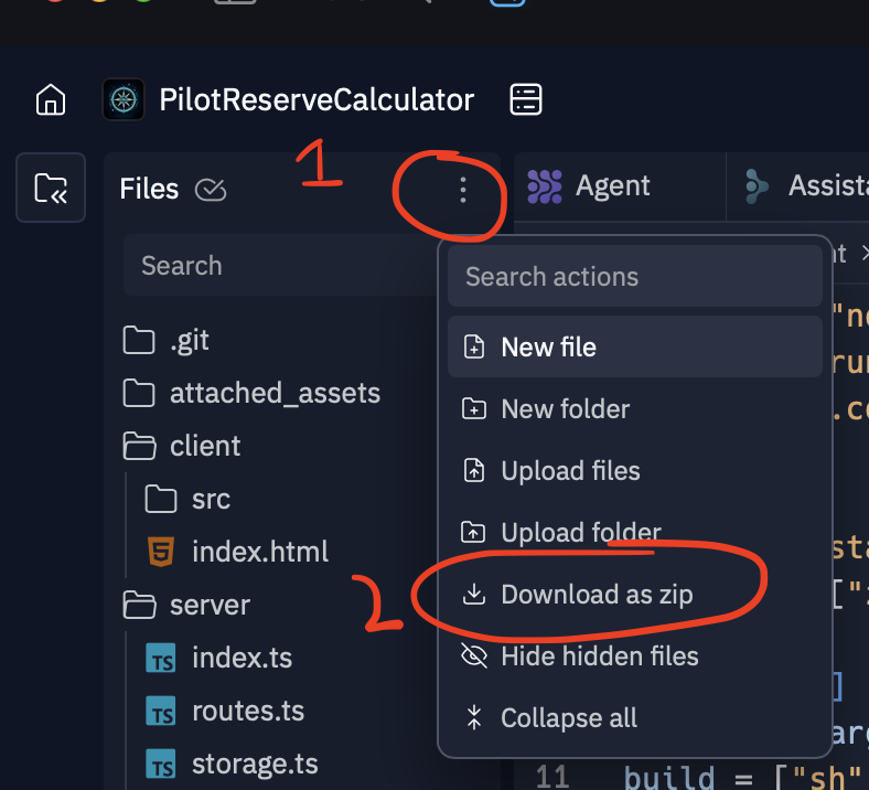 download repl as zip instructions